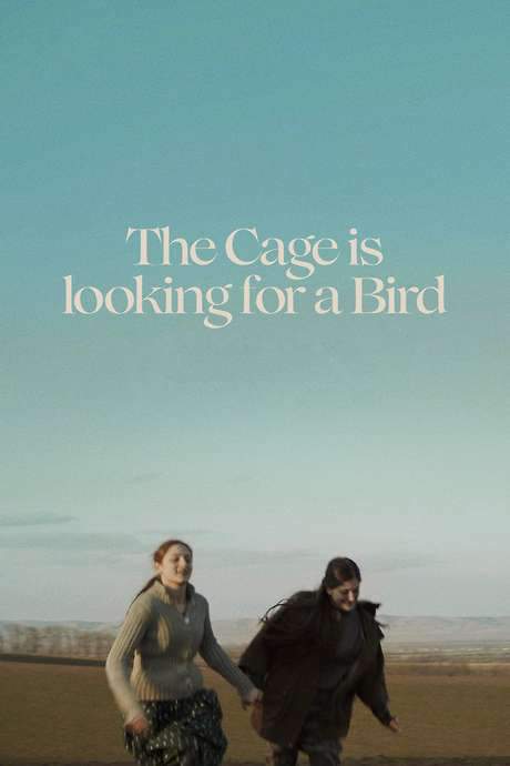 The Cage is Looking for a Bird
